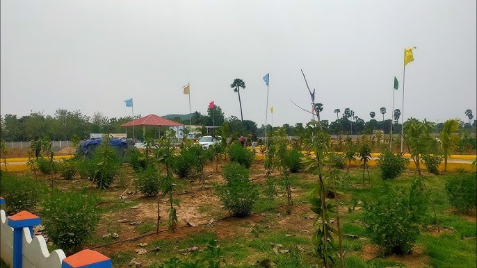 Comfortable Apartment